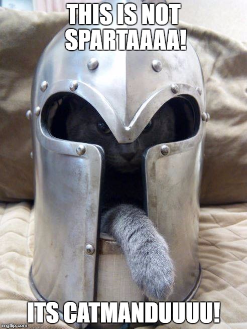 THIS IS NOT SPARTAAAA! ITS CATMANDUUUU! | image tagged in cats,funny,funny memes | made w/ Imgflip meme maker