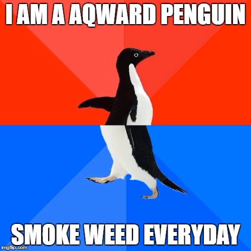 Socially Awesome Awkward Penguin | I AM A AQWARD PENGUIN; SMOKE WEED EVERYDAY | image tagged in memes,socially awesome awkward penguin | made w/ Imgflip meme maker