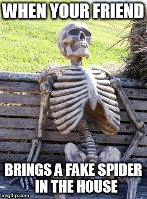 Waiting Skeleton | WHEN YOUR FRIEND; BRINGS A FAKE SPIDER  IN THE HOUSE | image tagged in memes,waiting skeleton | made w/ Imgflip meme maker