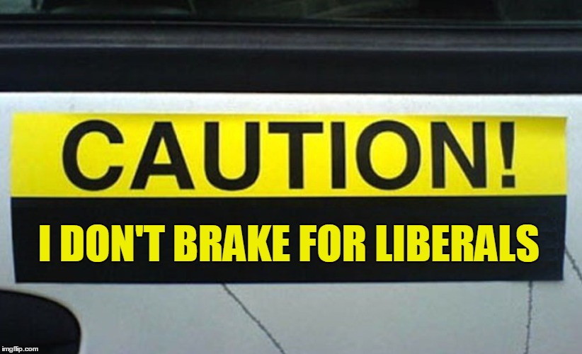 What I Found at Home Depot Today! | I DON'T BRAKE FOR LIBERALS | image tagged in bumper sticker,funny | made w/ Imgflip meme maker