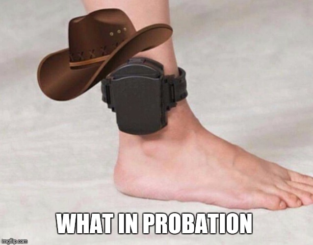 What In Probation Is Going On. | WHAT IN PROBATION | image tagged in probation,what in tarnation,funny,memes | made w/ Imgflip meme maker