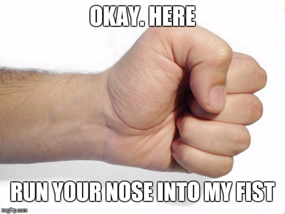 OKAY. HERE RUN YOUR NOSE INTO MY FIST | made w/ Imgflip meme maker
