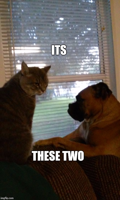 ITS THESE TWO | made w/ Imgflip meme maker