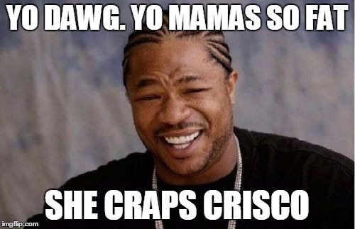 Yo Dawg Heard You Meme | YO DAWG. YO MAMAS SO FAT SHE CRAPS CRISCO | image tagged in memes,yo dawg heard you | made w/ Imgflip meme maker