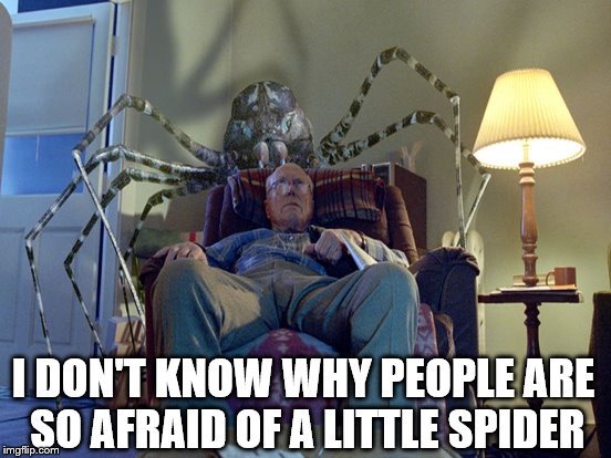 I DON'T KNOW WHY PEOPLE ARE SO AFRAID OF A LITTLE SPIDER | made w/ Imgflip meme maker