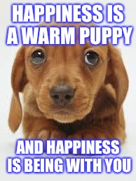 miss you | HAPPINESS IS A WARM PUPPY; AND HAPPINESS IS BEING WITH YOU | image tagged in miss you | made w/ Imgflip meme maker