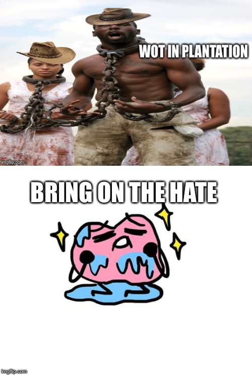 Bring on the hate feed back | BRING ON THE HATE | image tagged in slavery,wot in tarnation,slave,hate | made w/ Imgflip meme maker
