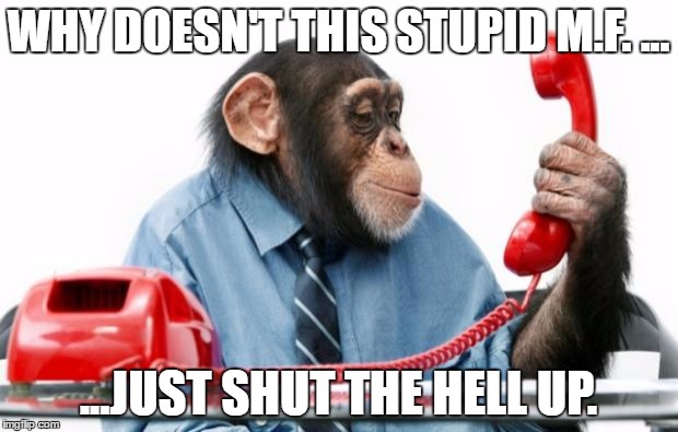 PhoneMonkey | WHY DOESN'T THIS STUPID M.F. ... ...JUST SHUT THE HELL UP. | image tagged in phonemonkey | made w/ Imgflip meme maker