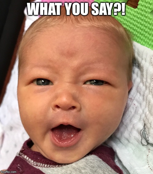 WHAT YOU SAY?! | image tagged in what you say | made w/ Imgflip meme maker
