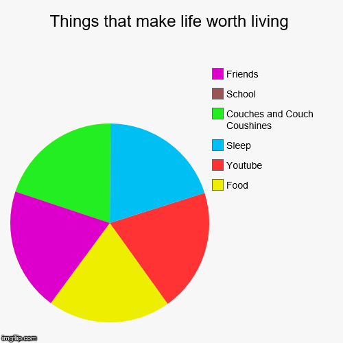 image tagged in funny,pie charts | made w/ Imgflip chart maker