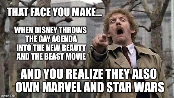Really Disney??? | THAT FACE YOU MAKE... WHEN DISNEY THROWS THE GAY AGENDA INTO THE NEW BEAUTY AND THE BEAST MOVIE; AND YOU REALIZE THEY ALSO OWN MARVEL AND STAR WARS | image tagged in horror,disney,marvel,star wars,gay | made w/ Imgflip meme maker
