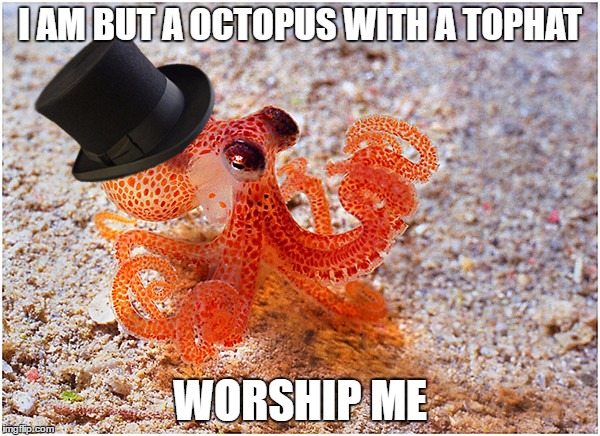 I AM BUT A OCTOPUS WITH A TOPHAT; WORSHIP ME | image tagged in sir octopus | made w/ Imgflip meme maker