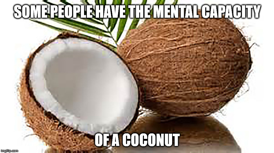 Sometimes I argue with people online who have no brains whatsoever. | SOME PEOPLE HAVE THE MENTAL CAPACITY; OF A COCONUT | image tagged in funny,idiots,stupid people,lmao | made w/ Imgflip meme maker