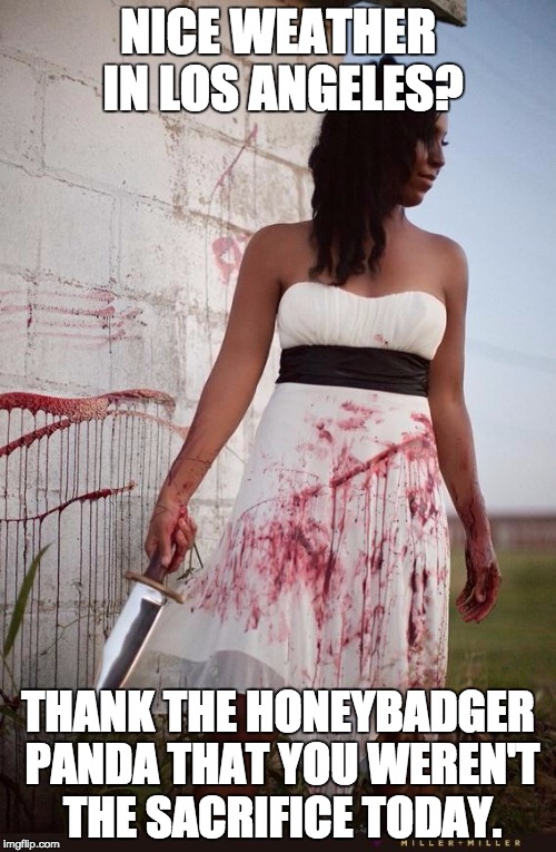 Bloody dress | NICE WEATHER IN LOS ANGELES? THANK THE HONEYBADGER PANDA THAT YOU WEREN'T THE SACRIFICE TODAY. | image tagged in bloody dress | made w/ Imgflip meme maker