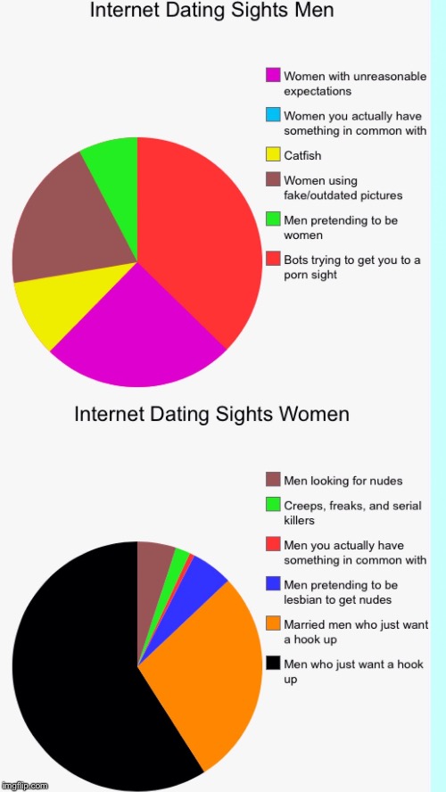 Why internet dating is pointless | image tagged in pie charts,dating,true,scientific study | made w/ Imgflip meme maker