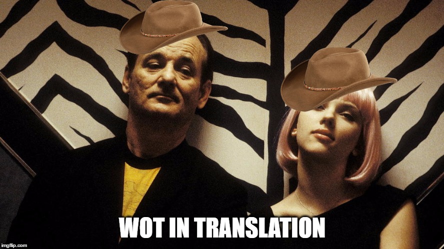 WOT IN TRANSLATION | image tagged in wot,wot in tarnation | made w/ Imgflip meme maker