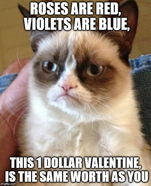 Grumpy Cat | ROSES ARE RED, VIOLETS ARE BLUE, THIS 1 DOLLAR VALENTINE, IS THE SAME WORTH AS YOU | image tagged in memes,grumpy cat | made w/ Imgflip meme maker