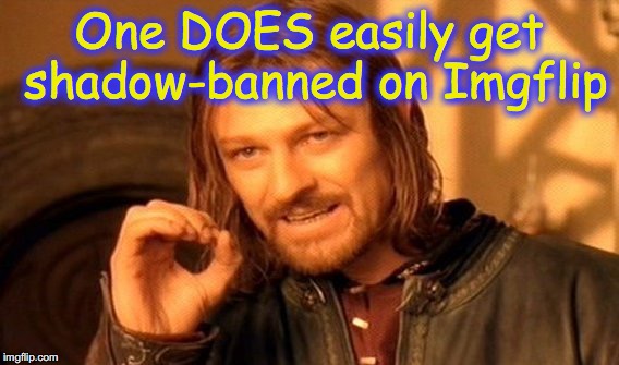 One Does Not Simply Meme | One DOES easily get shadow-banned on Imgflip | image tagged in memes,one does not simply | made w/ Imgflip meme maker