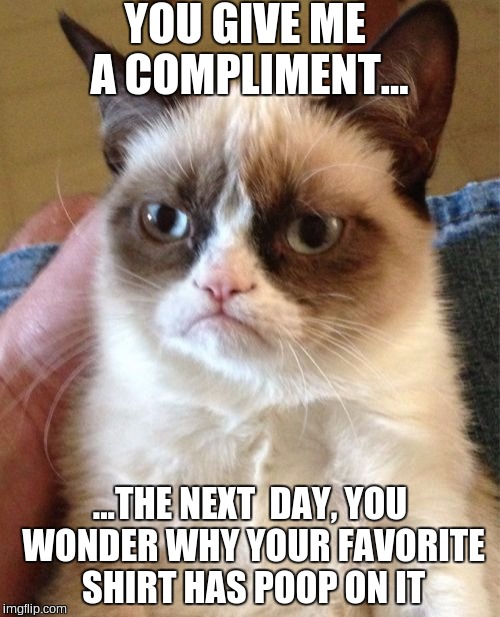 Grumpy Cat | YOU GIVE ME A COMPLIMENT... ...THE NEXT  DAY, YOU WONDER WHY YOUR FAVORITE SHIRT HAS POOP ON IT | image tagged in memes,grumpy cat | made w/ Imgflip meme maker