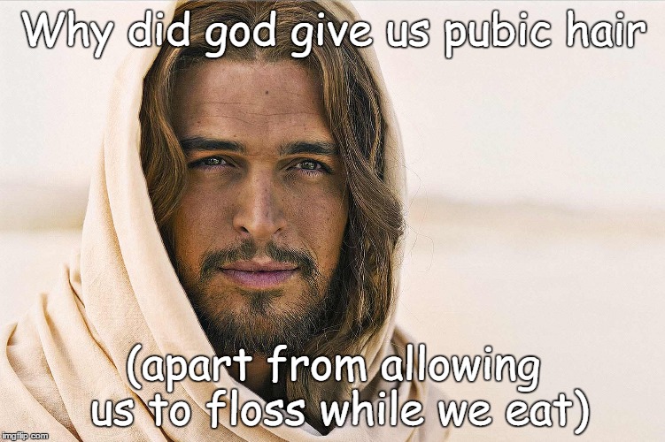 Why did god give us pubic hair; (apart from allowing us to floss while we eat) | image tagged in jesus | made w/ Imgflip meme maker