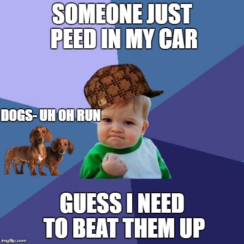 Success Kid Meme | SOMEONE JUST PEED IN MY CAR; DOGS- UH OH RUN; GUESS I NEED TO BEAT THEM UP | image tagged in memes,success kid,scumbag | made w/ Imgflip meme maker