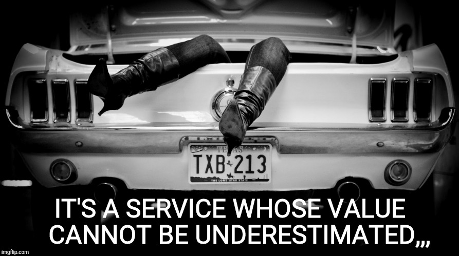 The Hooker in the Trunk of My Car | IT'S A SERVICE WHOSE VALUE   CANNOT BE UNDERESTIMATED,,, | image tagged in the hooker in the trunk of my car | made w/ Imgflip meme maker