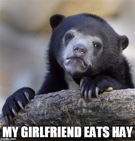 Confession Bear Meme | MY GIRLFRIEND EATS HAY | image tagged in memes,confession bear | made w/ Imgflip meme maker