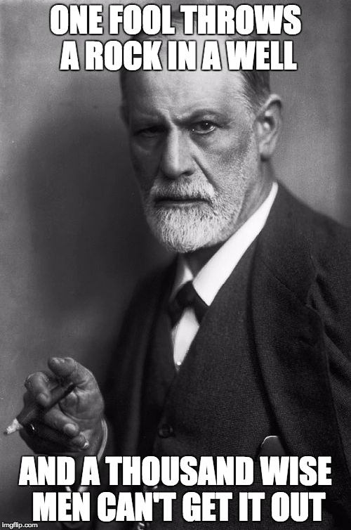 Sigmund Freud Meme | ONE FOOL THROWS A ROCK IN A WELL; AND A THOUSAND WISE MEN CAN'T GET IT OUT | image tagged in memes,sigmund freud | made w/ Imgflip meme maker