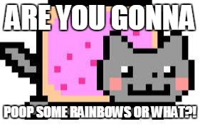 Nyan Cat | ARE YOU GONNA; POOP SOME RAINBOWS OR WHAT?! | image tagged in nyan cat | made w/ Imgflip meme maker