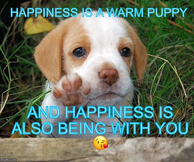 dog puppy bye | HAPPINESS IS A WARM PUPPY; AND HAPPINESS IS ALSO BEING WITH YOU; 😘 | image tagged in dog puppy bye | made w/ Imgflip meme maker