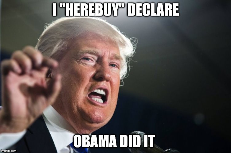 donald trump | I "HEREBUY" DECLARE; OBAMA DID IT | image tagged in donald trump | made w/ Imgflip meme maker