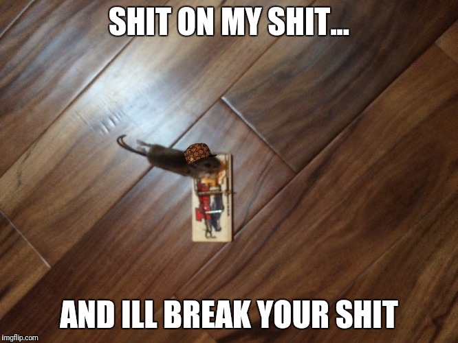 SHIT ON MY SHIT... AND ILL BREAK YOUR SHIT | image tagged in dont shit on my shit,scumbag | made w/ Imgflip meme maker