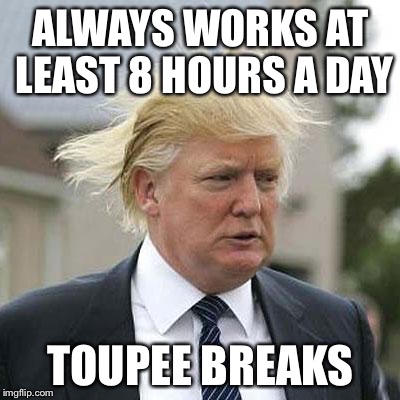 Donald Trump | ALWAYS WORKS AT LEAST 8 HOURS A DAY; TOUPEE BREAKS | image tagged in donald trump,memes | made w/ Imgflip meme maker