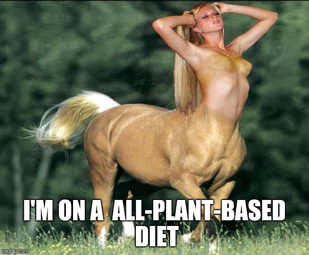 I'M ON A  ALL-PLANT-BASED DIET | made w/ Imgflip meme maker