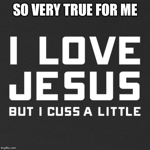 This fits me so very well | SO VERY TRUE FOR ME | image tagged in jesus,cussing | made w/ Imgflip meme maker