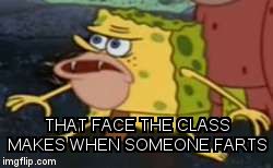 Spongegar | THAT FACE THE CLASS MAKES WHEN SOMEONE FARTS | image tagged in memes,spongegar | made w/ Imgflip meme maker