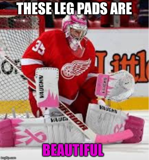 Goalie in pink | THESE LEG PADS ARE; BEAUTIFUL | image tagged in goalie in pink | made w/ Imgflip meme maker