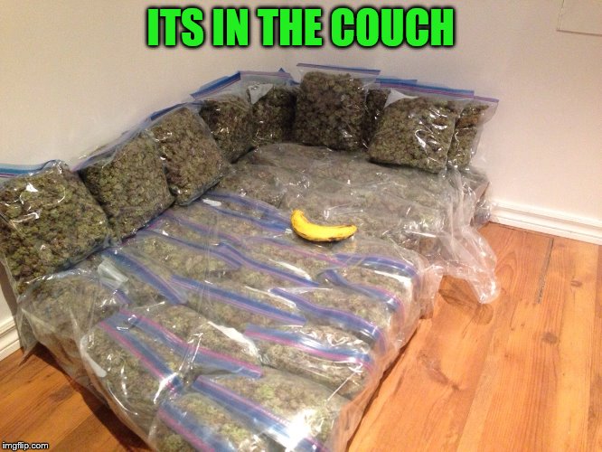 ITS IN THE COUCH | image tagged in kushion | made w/ Imgflip meme maker