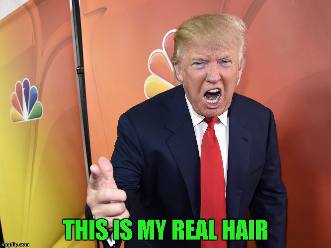 THIS IS MY REAL HAIR | made w/ Imgflip meme maker