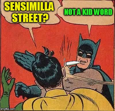 Batman Slapping Robin Meme | SENSIMILLA STREET? NOT A KID WORD | image tagged in memes,batman slapping robin | made w/ Imgflip meme maker