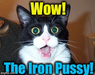 Wow! The Iron Pussy! | made w/ Imgflip meme maker