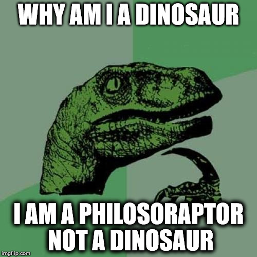 Philosoraptor Meme |  WHY AM I A DINOSAUR; I AM A PHILOSORAPTOR NOT A DINOSAUR | image tagged in memes,philosoraptor | made w/ Imgflip meme maker