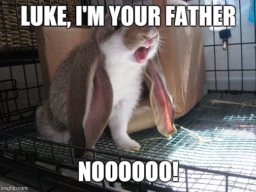 bunny nooooo! | LUKE, I'M YOUR FATHER; NOOOOOO! | image tagged in bunny nooooo | made w/ Imgflip meme maker