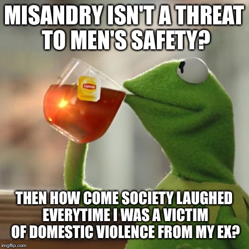 But That's None Of My Business Meme | MISANDRY ISN'T A THREAT TO MEN'S SAFETY? THEN HOW COME SOCIETY LAUGHED EVERYTIME I WAS A VICTIM OF DOMESTIC VIOLENCE FROM MY EX? | image tagged in memes,but thats none of my business,kermit the frog | made w/ Imgflip meme maker