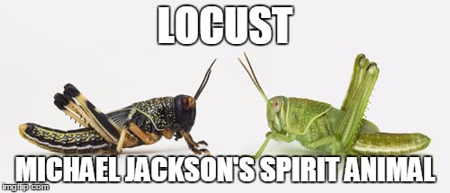 Michael Jackson's Spirit Animal | LOCUST; MICHAEL JACKSON'S SPIRIT ANIMAL | image tagged in michael jackson,spirit animal,memes,funny memes | made w/ Imgflip meme maker