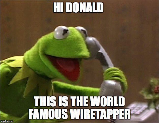 HI DONALD; THIS IS THE WORLD FAMOUS WIRETAPPER | image tagged in donald trump,kermit the frog | made w/ Imgflip meme maker