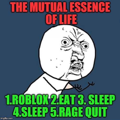 Life | THE MUTUAL ESSENCE OF LIFE; 1.ROBLOX 2.EAT 3. SLEEP 4.SLEEP 5.RAGE QUIT | image tagged in memes,y u no | made w/ Imgflip meme maker