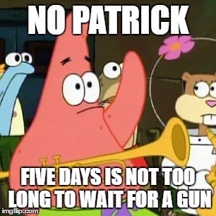No Patrick | NO PATRICK; FIVE DAYS IS NOT TOO LONG TO WAIT FOR A GUN | image tagged in memes,no patrick | made w/ Imgflip meme maker