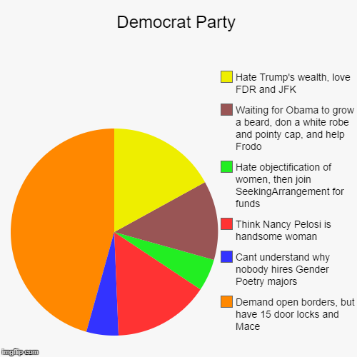 Democrat Party Sliced | image tagged in funny,pie charts,democrats,libidiots,boycott hollywood,pelosi | made w/ Imgflip chart maker