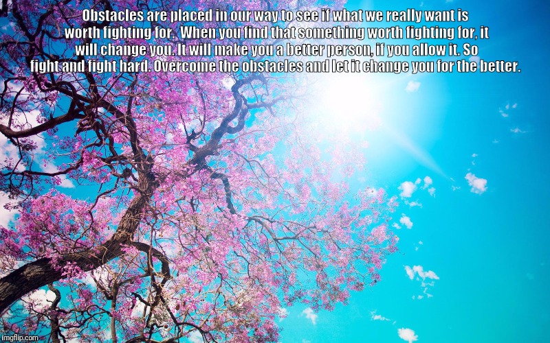Pretty pretty | Obstacles are placed in our way to see if what we really want is worth fighting for.  When you find that something worth fighting for, it will change you. It will make you a better person, if you allow it. So fight and fight hard. Overcome the obstacles and let it change you for the better. | image tagged in pretty pretty | made w/ Imgflip meme maker